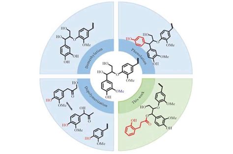  Lignin: Revolutionärer Werkstoff für innovative Biokunststoffe und nachhaltige Bindemittel!