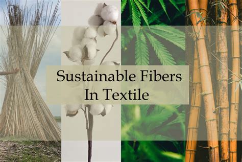  Nettle Fiber – Die vielseitige Wunderfaser für nachhaltige Textilinnovationen!